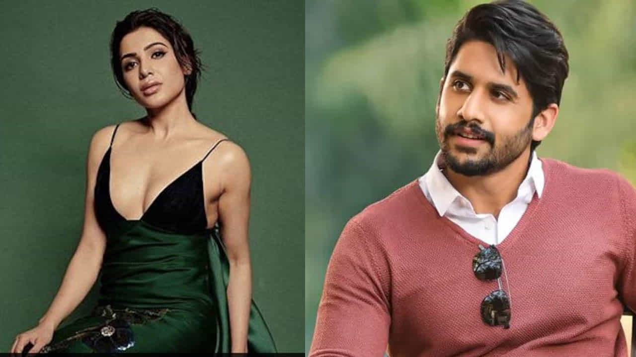 ‘ನಿಮ್ಮ ಕೆಲಸದ ಮೇಲೆ ಗಮನಹರಿಸಿ’; ನಾಗ ಚೈತನ್ಯ ಫ್ಯಾನ್ಸ್ಗೆ ಎಚ್ಚರಿಕೆ ನೀಡಿದ ಸಮಂತಾ ‘ನಿಮ್ಮ ಕೆಲಸದ ಮೇಲೆ ಗಮನಹರಿಸಿ’; ನಾಗ ಚೈತನ್ಯ ಫ್ಯಾನ್ಸ್ಗೆ ಎಚ್ಚರಿಕೆ ನೀಡಿದ ಸಮಂತಾ