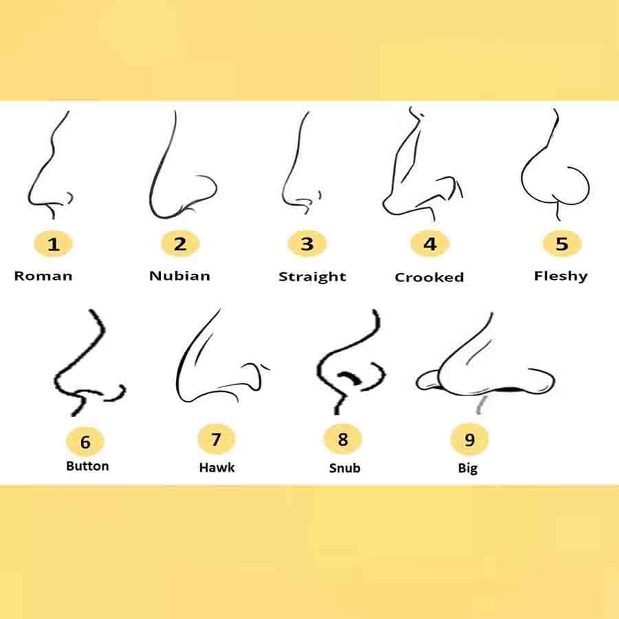 Face Reading Nose and Personality test