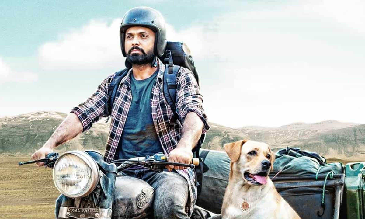 ಬಾಕ್ಸ್ ಆಫೀಸ್ನಲ್ಲಿ ‘777 ಚಾರ್ಲಿ’ ಓಟ; ವಾರಾಂತ್ಯಕ್ಕೆ ರಕ್ಷಿತ್ ಸಿನಿಮಾ ಗಳಿಸಿದ್ದೆಷ್ಟು? ಇಲ್ಲಿದೆ ವಿವರ ಬಾಕ್ಸ್ ಆಫೀಸ್ನಲ್ಲಿ ‘777 ಚಾರ್ಲಿ’ ಓಟ; ವಾರಾಂತ್ಯಕ್ಕೆ ರಕ್ಷಿತ್ ಸಿನಿಮಾ ಗಳಿಸಿದ್ದೆಷ್ಟು? ಇಲ್ಲಿದೆ ವಿವರ