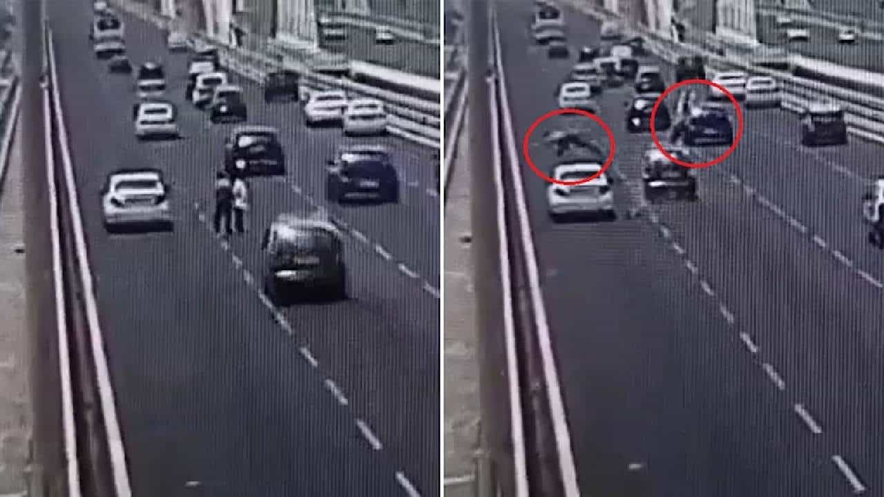 Viral Video: ಗಾಯಗೊಂಡಿದ್ದ ಪಕ್ಷಿಯನ್ನು ಕಾಪಾಡಲು ಹೋಗಿ ತಾನೇ ದಾರುಣವಾಗಿ ಅಂತ್ಯ ಕಂಡ ಉದ್ಯಮಿ; ಶಾಕಿಂಗ್ ವಿಡಿಯೋ ವೈರಲ್ Viral Video: ಗಾಯಗೊಂಡಿದ್ದ ಪಕ್ಷಿಯನ್ನು ಕಾಪಾಡಲು ಹೋಗಿ ತಾನೇ ದಾರುಣವಾಗಿ ಅಂತ್ಯ ಕಂಡ ಉದ್ಯಮಿ; ಶಾಕಿಂಗ್ ವಿಡಿಯೋ ವೈರಲ್