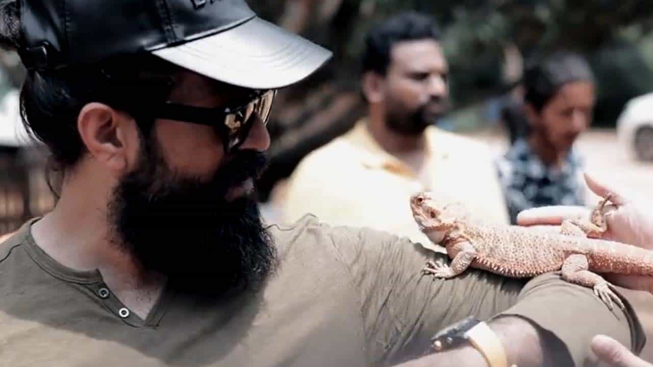 ಯಶ್ ಕೈಯಲ್ಲಿ ಹಾವು; ಪ್ರಾಣಿ, ಪಕ್ಷಿಗಳ ಜತೆ ರಾಕಿಂಗ್ ಸ್ಟಾರ್ ಕುಟುಂಬ, ಇಲ್ಲಿದೆ ವಿಡಿಯೋ ಯಶ್ ಕೈಯಲ್ಲಿ ಹಾವು; ಪ್ರಾಣಿ, ಪಕ್ಷಿಗಳ ಜತೆ ರಾಕಿಂಗ್ ಸ್ಟಾರ್ ಕುಟುಂಬ, ಇಲ್ಲಿದೆ ವಿಡಿಯೋ