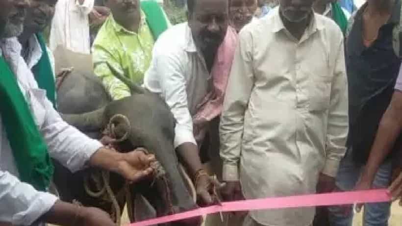 Gadag News: ಎಮ್ಮೆಯಿಂದ ಬಸ್ ತಂಗುದಾಣ ಉದ್ಘಾಟನೆ: ಗದಗ ಜಿಲ್ಲೆಯ ಗ್ರಾಮಸ್ಥರಿಂದ ವಿನೂತನ ಪ್ರತಿಭಟನೆ
