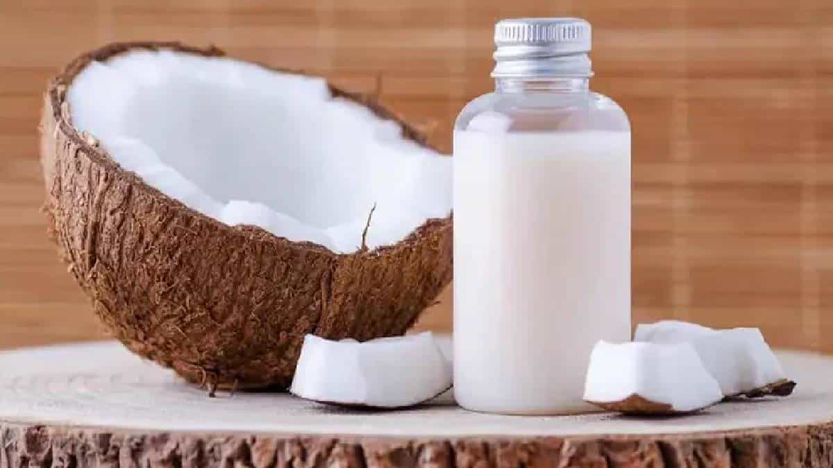 Hair Care Tips: ಕೂದಲು ಸಮಸ್ಯೆಗೆ ಇಲ್ಲಿದೆ ಪರಿಹಾರ..! ಮನೆಯಲ್ಲೇ ತಯಾರಿಸಿ ನೈಸರ್ಗಿಕ ತೆಂಗಿನೆಣ್ಣೆ ಶಾಂಪೂ Hair Care Tips: ಕೂದಲು ಸಮಸ್ಯೆಗೆ ಇಲ್ಲಿದೆ ಪರಿಹಾರ..! ಮನೆಯಲ್ಲೇ ತಯಾರಿಸಿ ನೈಸರ್ಗಿಕ ತೆಂಗಿನೆಣ್ಣೆ ಶಾಂಪೂ