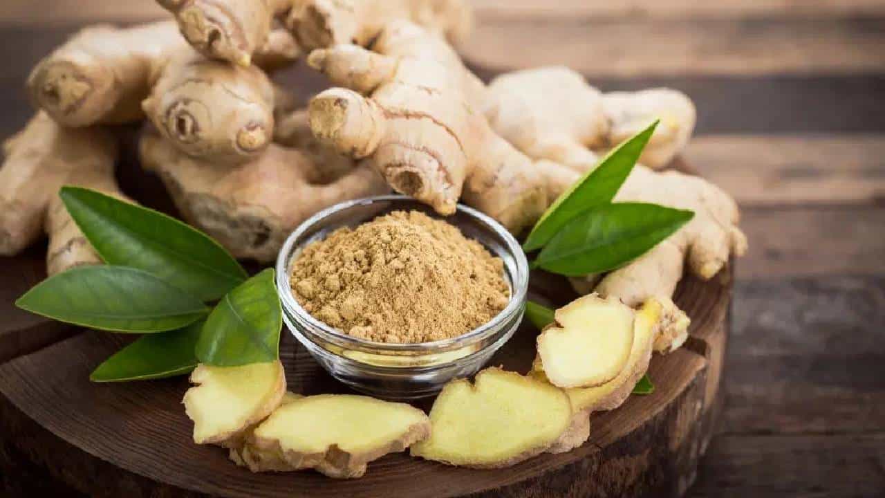 Benefits Of Ginger: ಮಧುಮೇಹ ರೋಗಿಗಳಿಗೆ ಶುಂಠಿ ಸೇವನೆ ಸಹಕಾರಿ! ಇಲ್ಲಿದೆ ಶುಂಠಿಯ ಉಪಯುಕ್ತ ಮಾಹಿತಿ Benefits Of Ginger: ಮಧುಮೇಹ ರೋಗಿಗಳಿಗೆ ಶುಂಠಿ ಸೇವನೆ ಸಹಕಾರಿ! ಇಲ್ಲಿದೆ ಶುಂಠಿಯ ಉಪಯುಕ್ತ ಮಾಹಿತಿ