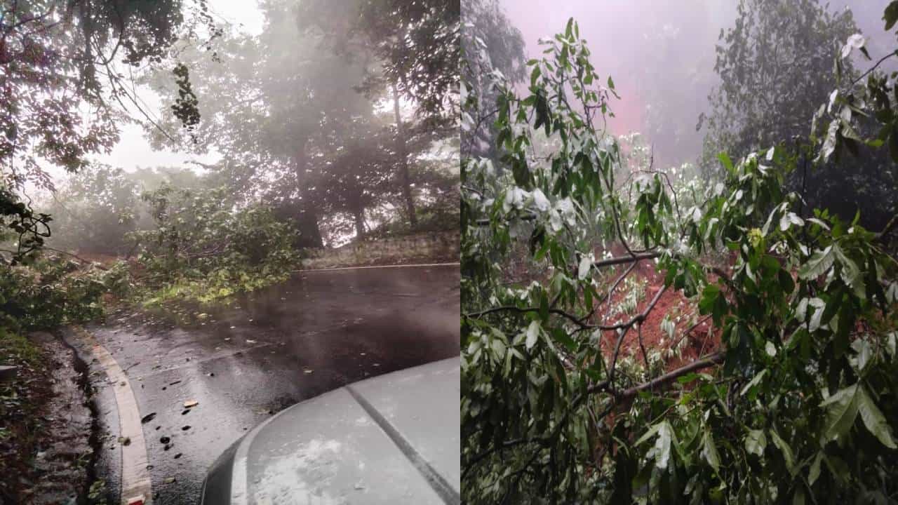 Karnataka Rain: ಆಗುಂಬೆ ಘಾಟ್ನ 11ನೇ ತಿರುವಿನಲ್ಲಿ ಗುಡ್ಡ ಕುಸಿತ: ಬದಲಿ ಮಾರ್ಗ ಸೂಚಿಸಿದ ಜಿಲ್ಲಾಡಳಿತ Karnataka Rain: ಆಗುಂಬೆ ಘಾಟ್ನ 11ನೇ ತಿರುವಿನಲ್ಲಿ ಗುಡ್ಡ ಕುಸಿತ: ಬದಲಿ ಮಾರ್ಗ ಸೂಚಿಸಿದ ಜಿಲ್ಲಾಡಳಿತ