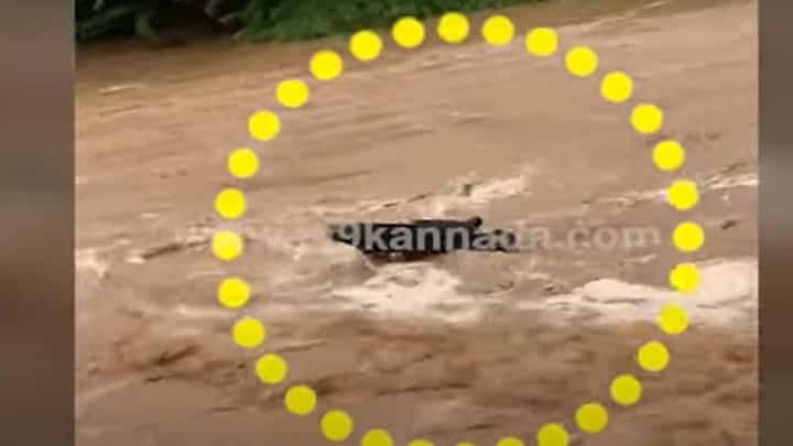 ಗುಜರಾತಿನಲ್ಲೂ ಭೀಕರ ಮಳೆ: ಉಕ್ಕಿ ಹರಿಯುತ್ತಿರುವ ನೀರಿನಲ್ಲಿ ಕೊಚ್ಚಿಕೊಂಡು ಹೋಯಿತೊಂದು ಎಮ್ಮೆ! ಗುಜರಾತಿನಲ್ಲೂ ಭೀಕರ ಮಳೆ: ಉಕ್ಕಿ ಹರಿಯುತ್ತಿರುವ ನೀರಿನಲ್ಲಿ ಕೊಚ್ಚಿಕೊಂಡು ಹೋಯಿತೊಂದು ಎಮ್ಮೆ!