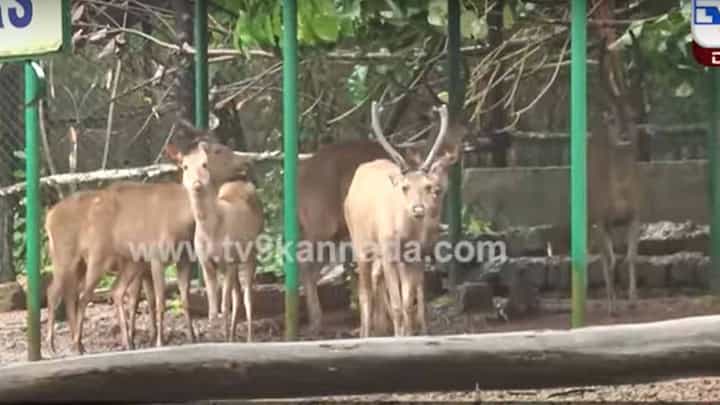 ಮಂಗಳೂರಿನ ಪಿಲಿಕುಳ ಉದ್ಯಾನವನ ಸಂಪೂರ್ಣ ಜಲಾವೃತ, ಅಸ್ತಿತ್ವಕ್ಕೆ ಬಂದ ಬಳಿಕ ಮೊದಲ ಬಾರಿ ಉದ್ಯಾನವನಕ್ಕೆ ಈ ಸ್ಥಿತಿ! ಮಂಗಳೂರಿನ ಪಿಲಿಕುಳ ಉದ್ಯಾನವನ ಸಂಪೂರ್ಣ ಜಲಾವೃತ, ಅಸ್ತಿತ್ವಕ್ಕೆ ಬಂದ ಬಳಿಕ ಮೊದಲ ಬಾರಿ ಉದ್ಯಾನವನಕ್ಕೆ ಈ ಸ್ಥಿತಿ!