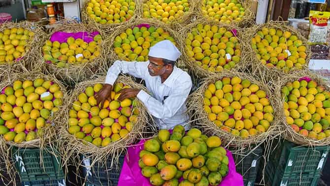 National Mango Day 2022: ಇಂದು ರಾಷ್ಟ್ರೀಯ ಮಾವು ದಿನ, ಹಣ್ಣುಗಳ ರಾಜನ ಬಗ್ಗೆ ಒಂದಿಷ್ಟು ಅರಿಯೋಣ ಬನ್ನಿ
