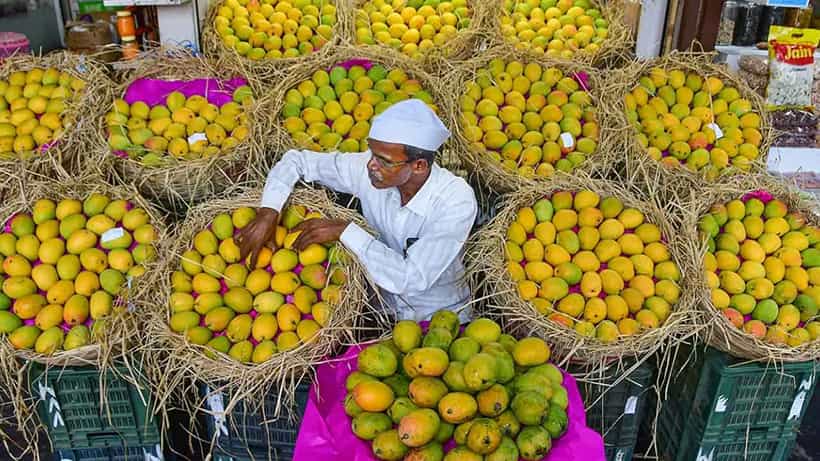 National Mango Day 2022: ಇಂದು ರಾಷ್ಟ್ರೀಯ ಮಾವು ದಿನ, ಹಣ್ಣುಗಳ ರಾಜನ ಬಗ್ಗೆ ಒಂದಿಷ್ಟು ಅರಿಯೋಣ ಬನ್ನಿ