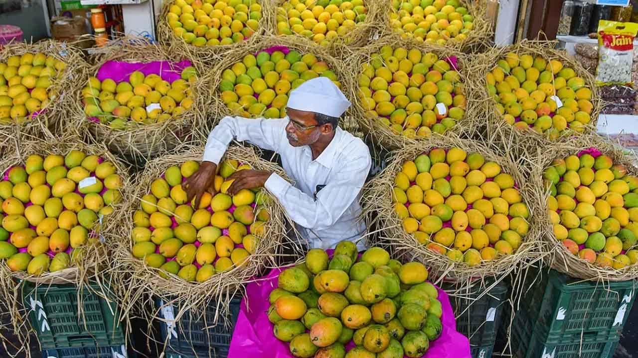 National Mango Day 2022: ಇಂದು ರಾಷ್ಟ್ರೀಯ ಮಾವು ದಿನ, ಹಣ್ಣುಗಳ ರಾಜನ ಬಗ್ಗೆ ಒಂದಿಷ್ಟು ಅರಿಯೋಣ ಬನ್ನಿ National Mango Day 2022: ಇಂದು ರಾಷ್ಟ್ರೀಯ ಮಾವು ದಿನ, ಹಣ್ಣುಗಳ ರಾಜನ ಬಗ್ಗೆ ಒಂದಿಷ್ಟು ಅರಿಯೋಣ ಬನ್ನಿ
