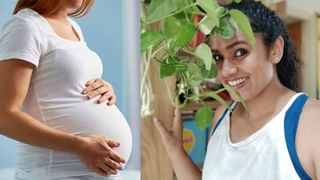 Vitamin D: ನಿಮ್ಮ ದೇಹದಲ್ಲಿ ವಿಟಮಿನ್ ಡಿ ಅಂಶ ಕಡಿಮೆಯಾಗಿದೆಯೇ? ಏನು ಮಾಡಬೇಕು?