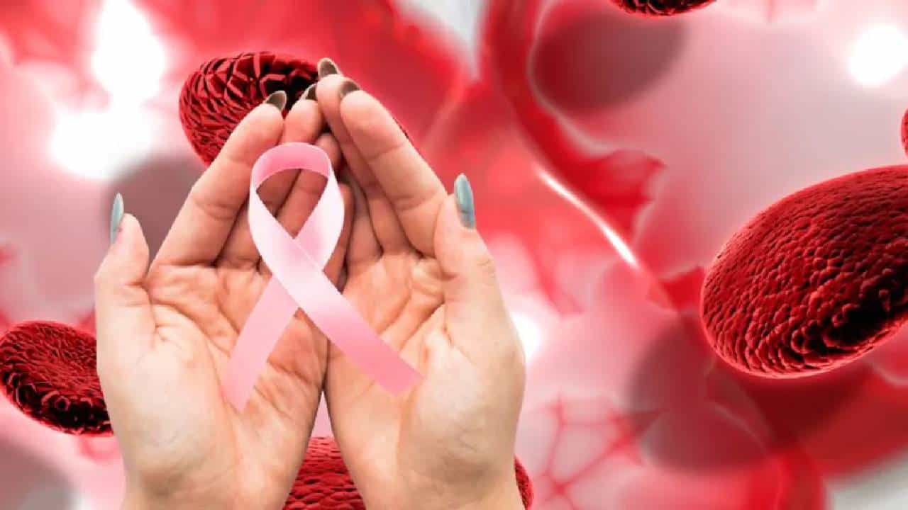 Cancer: ರೋಗಿಯು ನಿದ್ರೆಯಲ್ಲಿದ್ದಾಗ ಕ್ಯಾನ್ಸರ್ ಕೋಶಗಳು ದೇಹದ ಇತರೆ ಭಾಗಕ್ಕೆ ಚಲಿಸುತ್ತವೆ! Cancer: ರೋಗಿಯು ನಿದ್ರೆಯಲ್ಲಿದ್ದಾಗ ಕ್ಯಾನ್ಸರ್ ಕೋಶಗಳು ದೇಹದ ಇತರೆ ಭಾಗಕ್ಕೆ ಚಲಿಸುತ್ತವೆ!