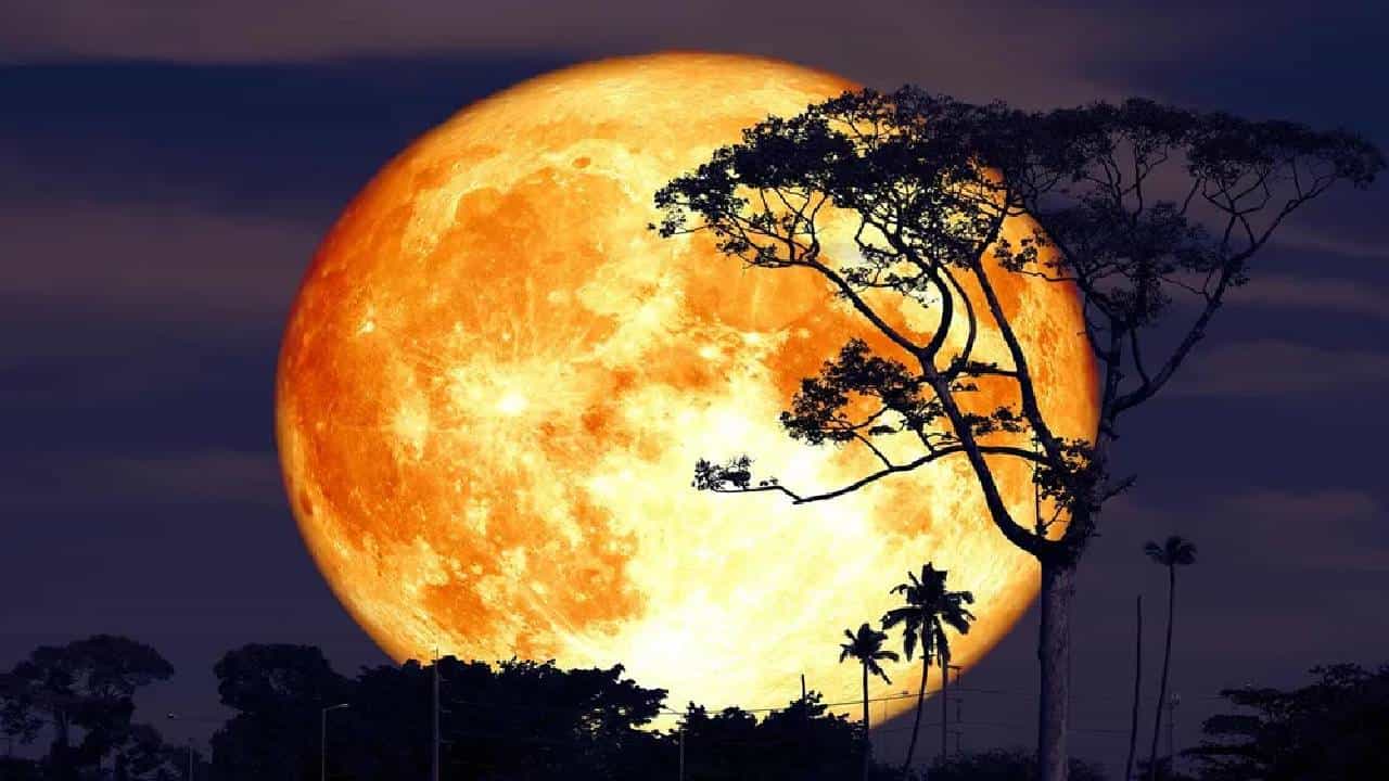 Super Moon 2022: ಇಂದು ರಾತ್ರಿ ಗೋಚರಿಸಲಿದೆ ಈ ವರ್ಷದ ಅತಿದೊಡ್ಡ ಸೂಪರ್ ಮೂನ್, ವೈಶಿಷ್ಠ್ಯವೇನು? Super Moon 2022: ಇಂದು ರಾತ್ರಿ ಗೋಚರಿಸಲಿದೆ ಈ ವರ್ಷದ ಅತಿದೊಡ್ಡ ಸೂಪರ್ ಮೂನ್, ವೈಶಿಷ್ಠ್ಯವೇನು?