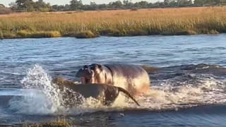 Viral: ಟ್ರಾಫಿಕ್‌ನಲ್ಲಿ ಹಾರ್ನ್ ಮಾಡಿದಾಗ ಏನಾಗುತ್ತದೆ? ಆಟೋ ರಿಕ್ಷಾದ ಹಿಂದೆ ಬರೆದ ಪ್ರಶ್ನೆ ವೈರಲ್