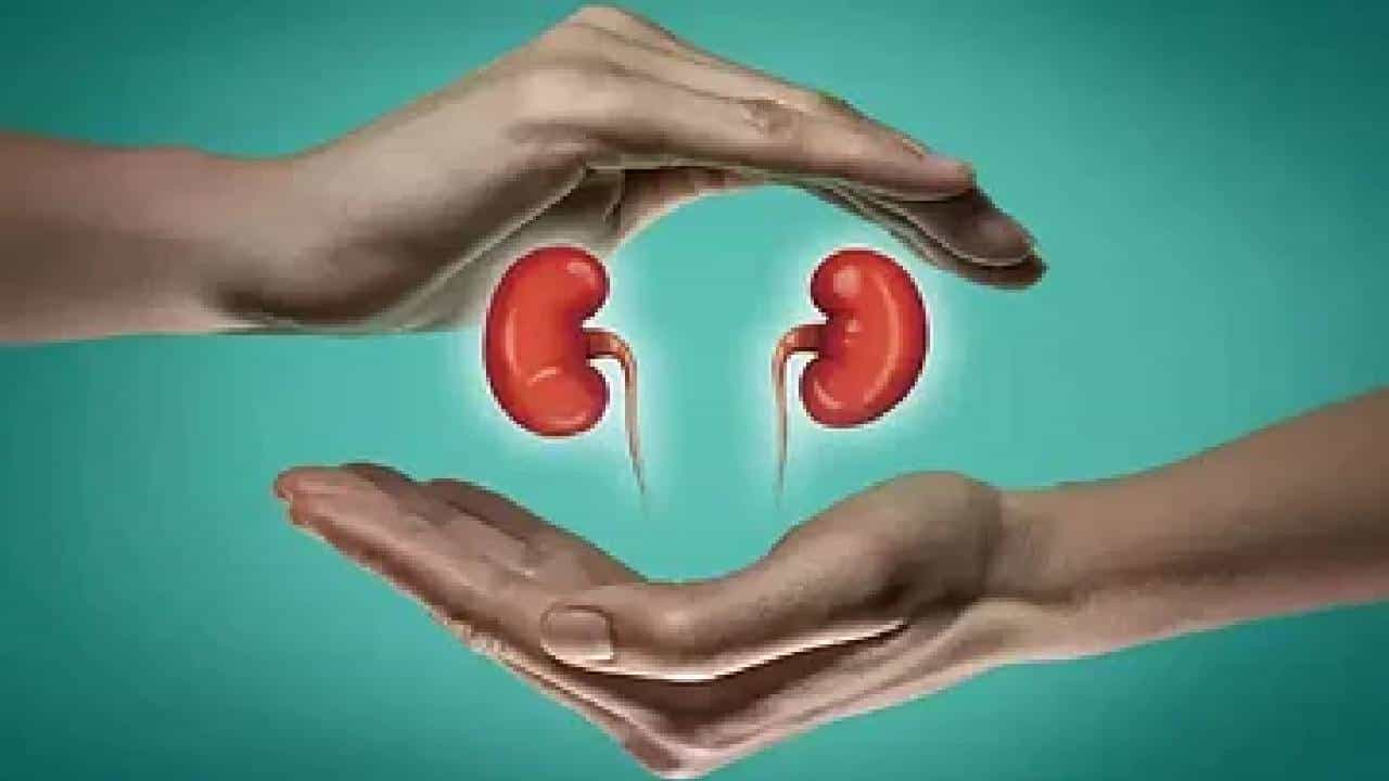 Kidney Failure: ಕಿಡ್ನಿಗೆ ಹಾನಿಯುಂಟು ಮಾಡುವ ಈ ಅಭ್ಯಾಸಗಳಿಂದ ದೂರವಿರಿ Kidney Failure: ಕಿಡ್ನಿಗೆ ಹಾನಿಯುಂಟು ಮಾಡುವ ಈ ಅಭ್ಯಾಸಗಳಿಂದ ದೂರವಿರಿ