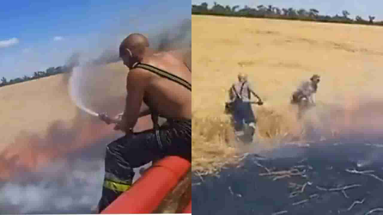 Viral Video: ಉಕ್ರೇನ್ ಮೇಲೆ ರಷ್ಯಾ ಶೆಲ್ ದಾಳಿ; ಕೃಷಿ ಜಮೀನಿಗೆ ಹತ್ತಿಕೊಂಡ ಬೆಂಕಿ ನಂದಿಸಲು ಹರಸಾಹಸ ಪಡುತ್ತಿರುವ ಉಕ್ರೇನ್ ರೈತರು