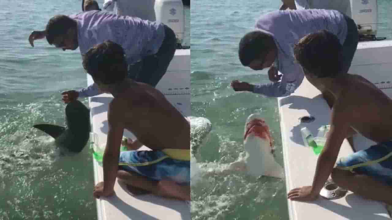 Viral Video: ಶಾಂತವಾಗಿದೆ ಎಂದು ಹಿಡಿಯಲು ಹೋದ ವ್ಯಕ್ತಿಯ ಕೈಯನ್ನೇ ಕಚ್ಚಿದ ನರ್ಸ್ ಶಾರ್ಕ್ ಮೀನು! ಇದು ನಾಲ್ಕನೇ ಪ್ರಕರಣ