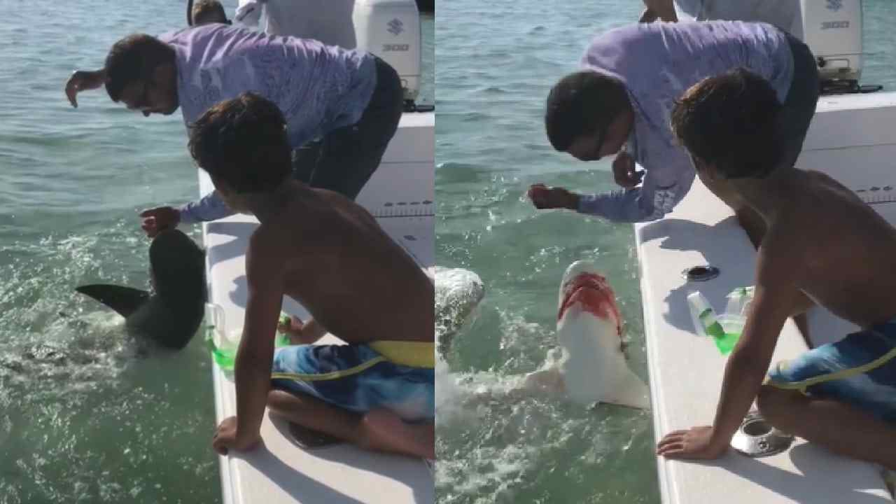 Viral Video: ಶಾಂತವಾಗಿದೆ ಎಂದು ಹಿಡಿಯಲು ಹೋದ ವ್ಯಕ್ತಿಯ ಕೈಯನ್ನೇ ಕಚ್ಚಿದ ನರ್ಸ್ ಶಾರ್ಕ್ ಮೀನು! ಇದು ನಾಲ್ಕನೇ ಪ್ರಕರಣ Viral Video: ಶಾಂತವಾಗಿದೆ ಎಂದು ಹಿಡಿಯಲು ಹೋದ ವ್ಯಕ್ತಿಯ ಕೈಯನ್ನೇ ಕಚ್ಚಿದ ನರ್ಸ್ ಶಾರ್ಕ್ ಮೀನು! ಇದು ನಾಲ್ಕನೇ ಪ್ರಕರಣ