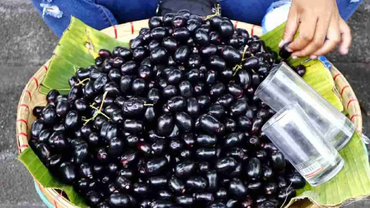 Jamun Fruit: ನೇರಳೆ ಹಣ್ಣು ಸೇವಿಸುವುದು ಮಧುಮೇಹಿಗಳಿಗೆ ಒಳ್ಳೆಯದೋ, ಕೆಟ್ಟದ್ದೋ?