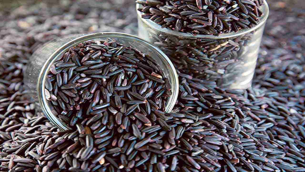 Black Rice: ಕಪ್ಪು ಅಕ್ಕಿಯಿಂದಾಗುವ ಆರೋಗ್ಯ ಪ್ರಯೋಜನಗಳ ಬಗ್ಗೆ ತಿಳಿಯಿರಿ