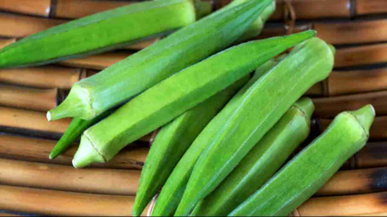 Lady Finger Benefits: ಬೆಂಡೆಕಾಯಿಯಿಂದ ಮಧುಮೇಹ ನಿಯಂತ್ರಣ ಸಾಧ್ಯ, ಇತರೆ ಪ್ರಯೋಜನಗಳನ್ನು ತಿಳಿಯಿರಿ