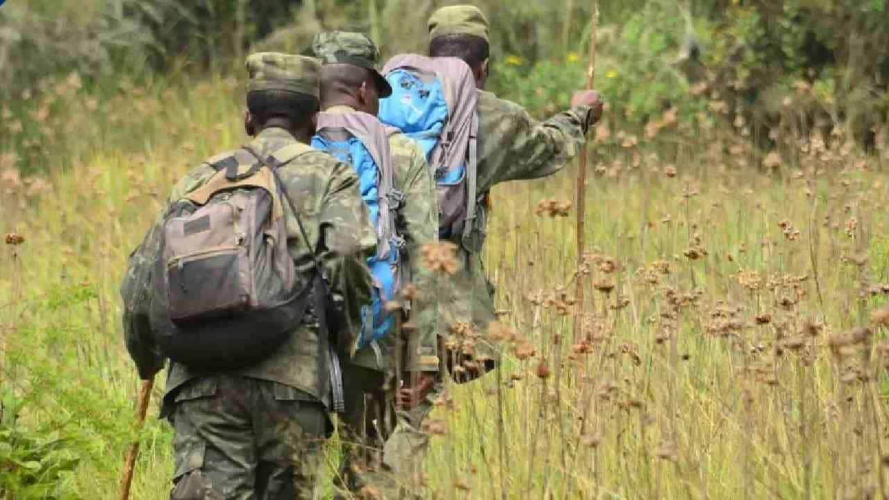 World Ranger Day 2022: ಇಂದು ವಿಶ್ವ ರೇಂಜರ್ ದಿನ; ಈ ದಿನದ ಇತಿಹಾಸ, ಮಹತ್ವ ಮತ್ತು ಪ್ರಾಮುಖ್ಯತೆಗಳು ಇಲ್ಲಿದೆ World Ranger Day 2022: ಇಂದು ವಿಶ್ವ ರೇಂಜರ್ ದಿನ; ಈ ದಿನದ ಇತಿಹಾಸ, ಮಹತ್ವ ಮತ್ತು ಪ್ರಾಮುಖ್ಯತೆಗಳು ಇಲ್ಲಿದೆ