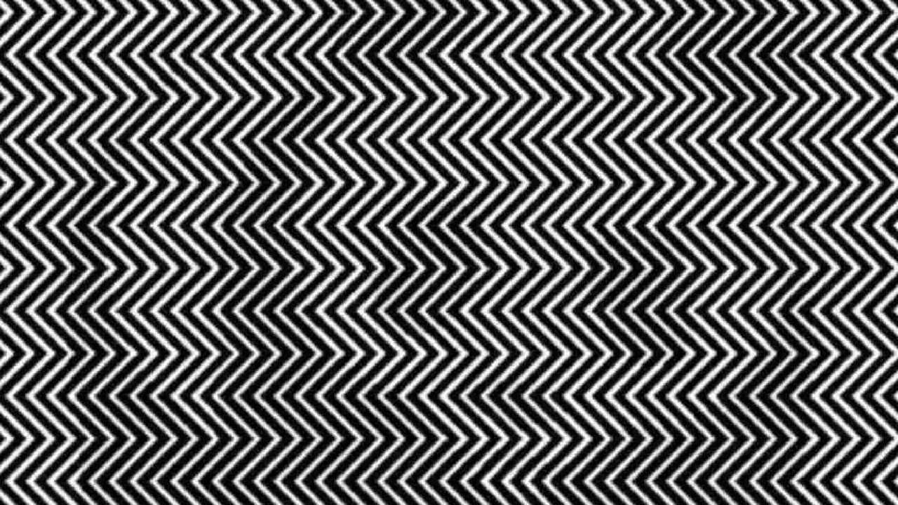 Optical Illusion: ಅಂಕುಡೊಂಕಾದ ರೇಖೆಗಳ ನಡುವೆ ಅಡಗಿರುವ ಮುದ್ದಾದ ಪ್ರಾಣಿಯನ್ನು ಪತ್ತೆಹಚ್ಚಿ, ಬುದ್ಧಿವಂತಿಕೆಗೊಂದು ಸವಾಲು Optical Illusion: ಅಂಕುಡೊಂಕಾದ ರೇಖೆಗಳ ನಡುವೆ ಅಡಗಿರುವ ಮುದ್ದಾದ ಪ್ರಾಣಿಯನ್ನು ಪತ್ತೆಹಚ್ಚಿ, ಬುದ್ಧಿವಂತಿಕೆಗೊಂದು ಸವಾಲು