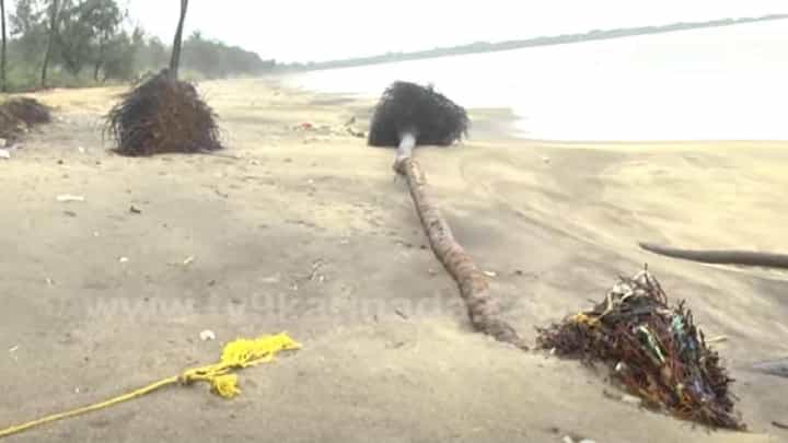 ಕಡಲ ಕೊರೆತಕ್ಕೆ ಧರೆಗುರುಳಿದ ತೆಂಗಿನ ಮರಗಳು, ತಲೆ ಕೆಡಿಸಿಕೊಳ್ಳದ ಸರ್ಕಾರ ಕಡಲ ಕೊರೆತಕ್ಕೆ ಧರೆಗುರುಳಿದ ತೆಂಗಿನ ಮರಗಳು, ತಲೆ ಕೆಡಿಸಿಕೊಳ್ಳದ ಸರ್ಕಾರ