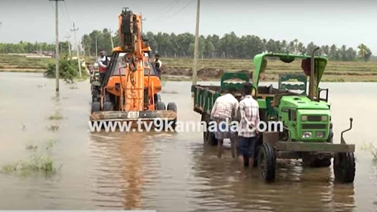 ತುಂಗಭದ್ರಾ ಹಿನ್ನೀರಿನ ಹರಿವು ಹೆಚ್ಚಾಗಿರುವುದನ್ನು ಹರಿಹರದ ಜನ ಸದುಪಯೋಗ ಮಾಡಿಕೊಳ್ಳುತ್ತಿದ್ದಾರೆ!