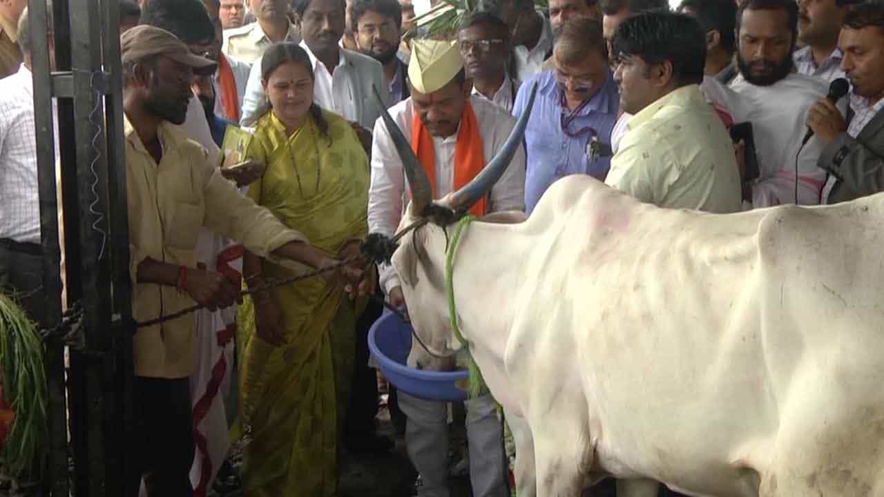 ಮಳೆ, ಪ್ರವಾಹಕ್ಕೆ ಸಿಲುಕಿ ಮೃತಪಟ್ಟ ಜಾನುವಾರುಗಳಿಗೆ ಪರಿಹಾರ ನೀಡುವುದಾಗಿ ಸಚಿವ ಪ್ರಭು ಚೌಹಾಣ್ ಘೋಷಣೆ ಮಳೆ, ಪ್ರವಾಹಕ್ಕೆ ಸಿಲುಕಿ ಮೃತಪಟ್ಟ ಜಾನುವಾರುಗಳಿಗೆ ಪರಿಹಾರ ನೀಡುವುದಾಗಿ ಸಚಿವ ಪ್ರಭು ಚೌಹಾಣ್ ಘೋಷಣೆ