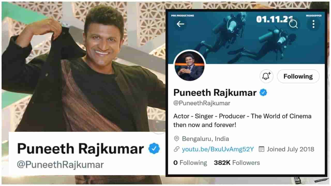 Puneeth Rajkumar Twitter: ಮರಳಿ ಬಂತು ಪುನೀತ್​ ರಾಜ್​ಕುಮಾರ್​ ಟ್ವಿಟರ್​ ಖಾತೆಯ ಬ್ಲೂ ಟಿಕ್​; ಸಂಭ್ರಮಿಸಿದ ಅಪ್ಪು ಫ್ಯಾನ್ಸ್​