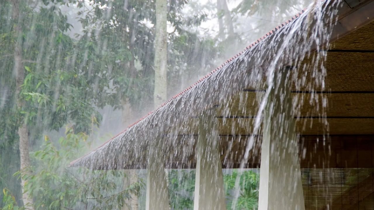 Karnataka Rain: ರಾಜ್ಯಾದ್ಯಂತ ಮುಂದಿನ 2 ದಿನ ಭಾರೀ ಮಳೆಯಾಗಲಿದೆ; ಹವಾಮಾನ ಇಲಾಖೆ ಮುನ್ಸೂಚನೆ Karnataka Rain: ರಾಜ್ಯಾದ್ಯಂತ ಮುಂದಿನ 2 ದಿನ ಭಾರೀ ಮಳೆಯಾಗಲಿದೆ; ಹವಾಮಾನ ಇಲಾಖೆ ಮುನ್ಸೂಚನೆ