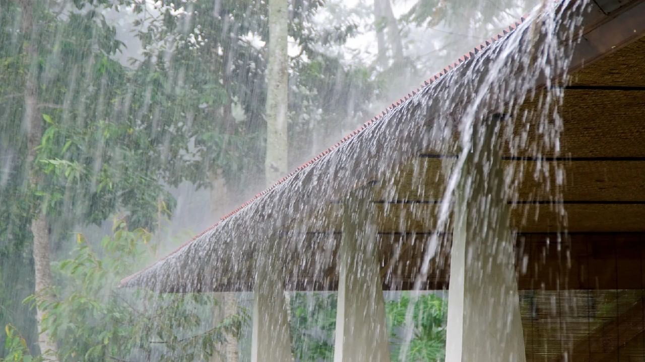 Karnataka Rain: ರಾಜ್ಯಾದ್ಯಂತ ಮುಂದಿನ 2 ದಿನ ಭಾರೀ ಮಳೆಯಾಗಲಿದೆ; ಹವಾಮಾನ ಇಲಾಖೆ ಮುನ್ಸೂಚನೆ