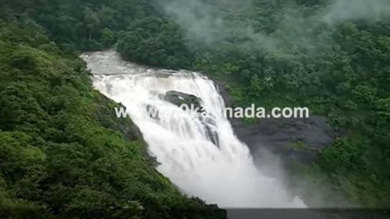ಕೊಡಗಿನ ಮಲ್ಲಳ್ಳಿ ಜಲಪಾತ ಧುಮ್ಮುಕ್ಕಿತ್ತಿರುವ ದೃಶ್ಯ ನಯನಮನೋಹರ! ಕೊಡಗಿನ ಮಲ್ಲಳ್ಳಿ ಜಲಪಾತ ಧುಮ್ಮುಕ್ಕಿತ್ತಿರುವ ದೃಶ್ಯ ನಯನಮನೋಹರ!
