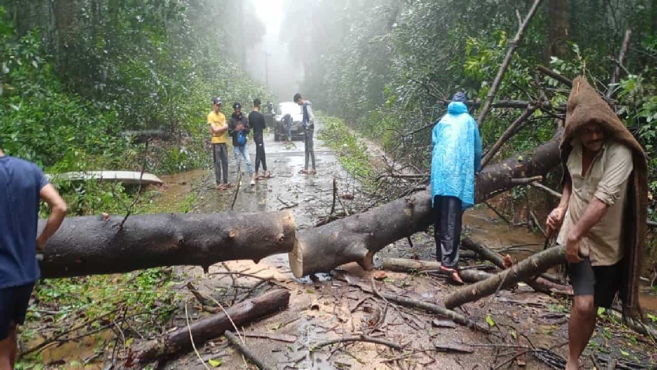 Karnataka Rain: ಶಿವಮೊಗ್ಗ ಜಿಲ್ಲೆಯಲ್ಲಿ ಭಾರೀ ಮಳೆ: ರಸ್ತೆಗೆ ಅಡ್ಡಲಾಗಿ ಬಿದ್ದ ಮರಗಳು; ಹಲವು ರಸ್ತೆಗಳ ಸಂಪರ್ಕ ಕಡಿತ Karnataka Rain: ಶಿವಮೊಗ್ಗ ಜಿಲ್ಲೆಯಲ್ಲಿ ಭಾರೀ ಮಳೆ: ರಸ್ತೆಗೆ ಅಡ್ಡಲಾಗಿ ಬಿದ್ದ ಮರಗಳು; ಹಲವು ರಸ್ತೆಗಳ ಸಂಪರ್ಕ ಕಡಿತ
