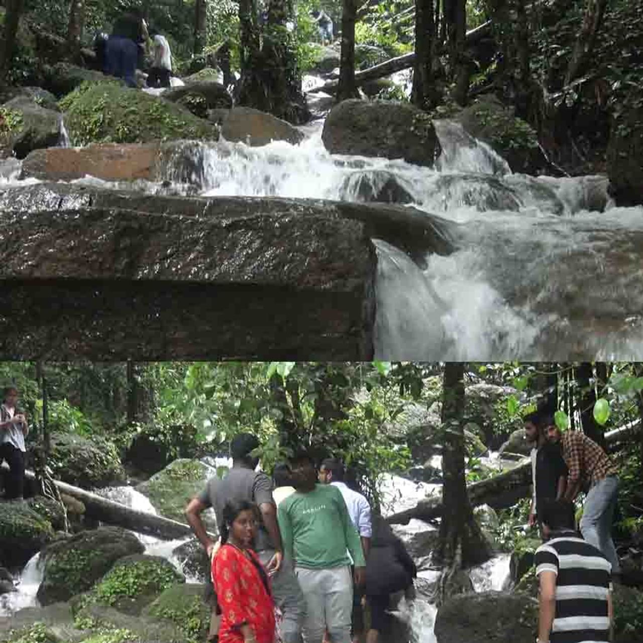 ದಟ್ಟ ಕಾನನದ ನಡುವೆ ಇಳಿಜಾರಿನಲ್ಲಿ ಮೈದುಂಬಿ ಹರಿಯುತ್ತಿರುವ ಅರ್ಬಿ ಜಲಪಾತವನ್ನು ನೋಡುವುದೇ ಕಣ್ಣುಗಳಿಗೆ ಸೊಗಸು ಅದರಲ್ಲೂ ತಳುಕುತ್ತಾ ಬಳುಕುತ್ತಾ ಕಲ್ಲಿನಿಂದ ಕಲ್ಲಿಗೆ ಹಂತ ಹಂತವಾಗಿ ಹರಿಯುವಾಗ ಕ್ಷೀರಧಾರೆಯೇ ಹರಿದು ಬಂದಂತಹ ಅನುಭವ. ಹಲವಾರು ಕವಲುಗಳಾಗಿ ಶುಭ್ರ ನೀರಿನಿಂದ ಹರಿಯುವ ಅರ್ಬಿ ಜಲಪಾತವನ್ನು ನೋಡಲು ಪ್ರವಾಸಿಗರ ದಂಡೇ ಬರುತ್ತಿದೆ.