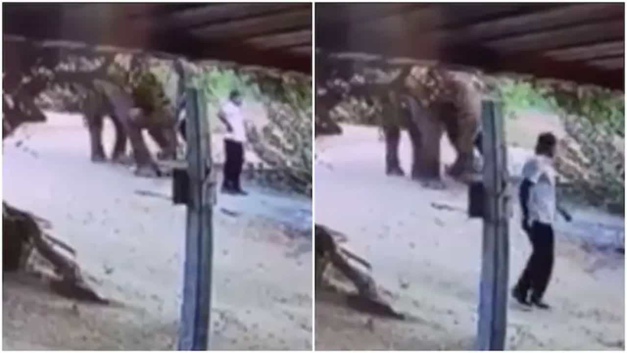 Viral Video: ಅಯ್ಯೋ ಆನೆ ಮಾಡಿದ ಕೆಲಸ ಏನು ಗೊತ್ತಾ? ವಿಡಿಯೋ ನೋಡಿ ನೀವು ನಗುವುದು ಖಂಡಿತ Viral Video: ಅಯ್ಯೋ ಆನೆ ಮಾಡಿದ ಕೆಲಸ ಏನು ಗೊತ್ತಾ? ವಿಡಿಯೋ ನೋಡಿ ನೀವು ನಗುವುದು ಖಂಡಿತ
