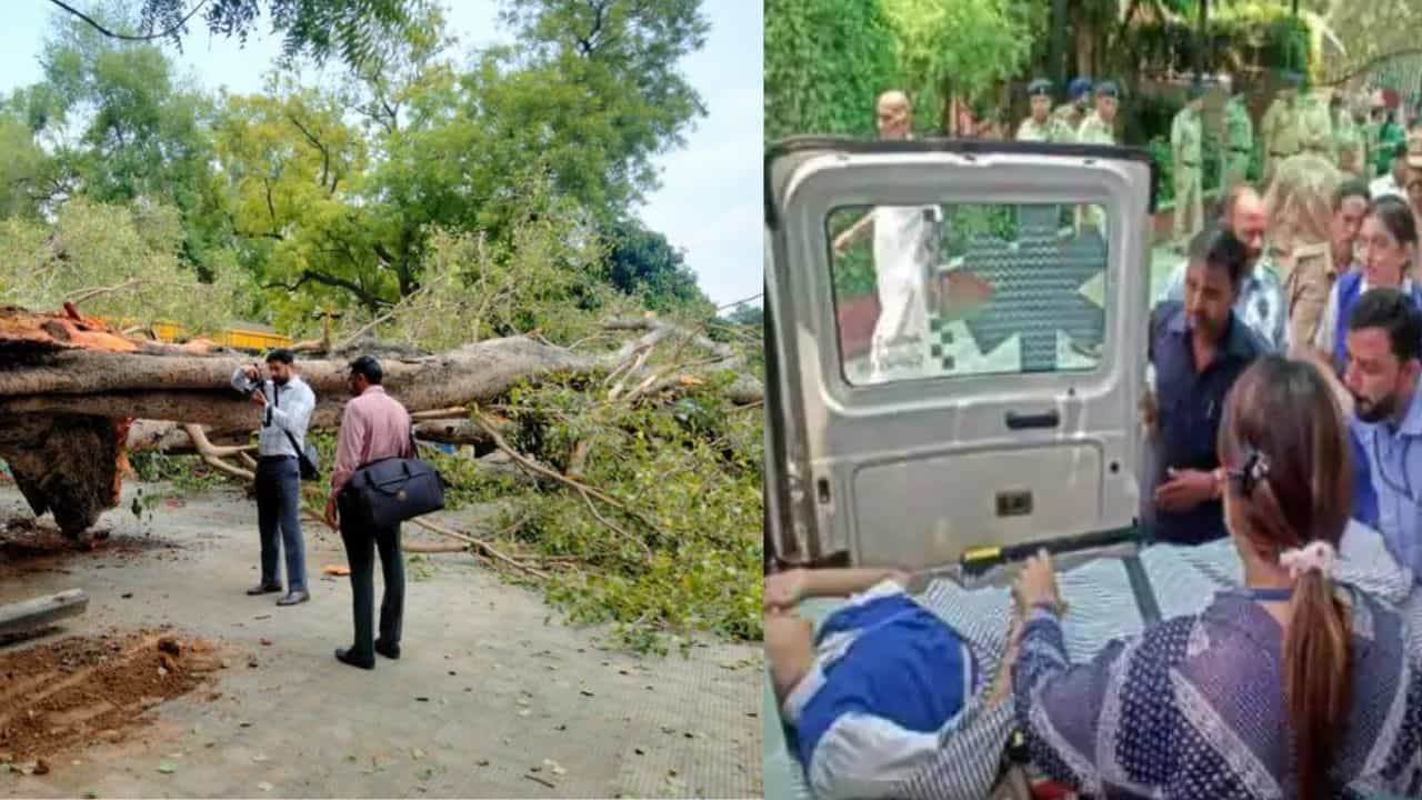 ಶಾಲೆಯ ಮೇಲೆ ಮರ ಬಿದ್ದು ವಿದ್ಯಾರ್ಥಿ ಸಾವು, ಹಲವರಿಗೆ ಗಾಯ! ಶಾಲೆಯ ಮೇಲೆ ಮರ ಬಿದ್ದು ವಿದ್ಯಾರ್ಥಿ ಸಾವು, ಹಲವರಿಗೆ ಗಾಯ!
