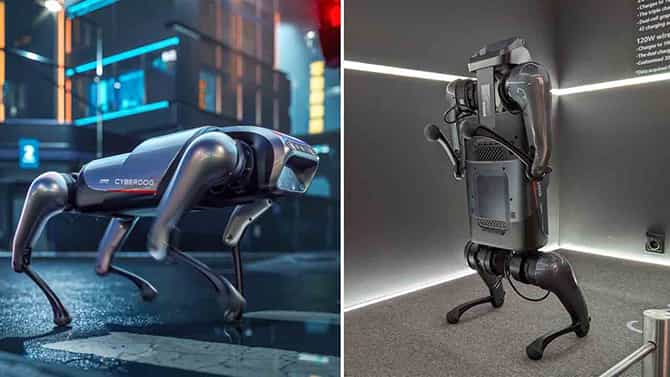 Cyberdog: ಶವೋಮಿಯ ಸೈಬರ್ ಡಾಗ್ ರೋಬೋಟ್ ಬೆಲೆ ಎಷ್ಟು?: ಇದು ಏನೆಲ್ಲ ಮಾಡುತ್ತೆ?