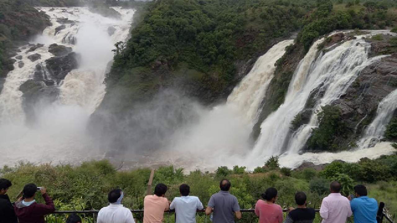 Bharachukki Falls: ಕೆಆರ್​ಎಸ್​ ಡ್ಯಾಂನಿಂದ ನೀರು ಬಿಡುಗಡೆ; ಭೋರ್ಗರೆಯುತ್ತಾ ಪ್ರವಾಸಿಗರನ್ನು ಸೆಳೆಯುತ್ತಿದೆ ಭರಚುಕ್ಕಿ ಜಲಪಾತ