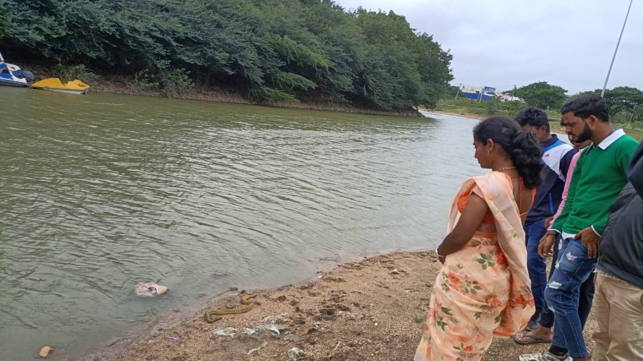 ಗದಗದ ಐತಿಹಾಸಿಕ ಭೀಷ್ಮ ಕೆರೆಯಲ್ಲಿ ಜಲಚರಗಳ ಮಾರಣಹೋಮ: ನಗರಸಭೆ ವಿರುದ್ಧ ಪ್ರಾಣಿ ಪ್ರಿಯರ ಆಕ್ರೋಶ