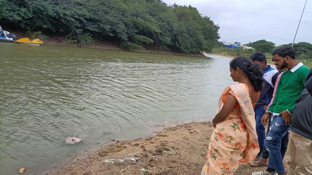 ಗದಗದ ಐತಿಹಾಸಿಕ ಭೀಷ್ಮ ಕೆರೆಯಲ್ಲಿ ಜಲಚರಗಳ ಮಾರಣಹೋಮ: ನಗರಸಭೆ ವಿರುದ್ಧ ಪ್ರಾಣಿ ಪ್ರಿಯರ ಆಕ್ರೋಶ ಗದಗದ ಐತಿಹಾಸಿಕ ಭೀಷ್ಮ ಕೆರೆಯಲ್ಲಿ ಜಲಚರಗಳ ಮಾರಣಹೋಮ: ನಗರಸಭೆ ವಿರುದ್ಧ ಪ್ರಾಣಿ ಪ್ರಿಯರ ಆಕ್ರೋಶ