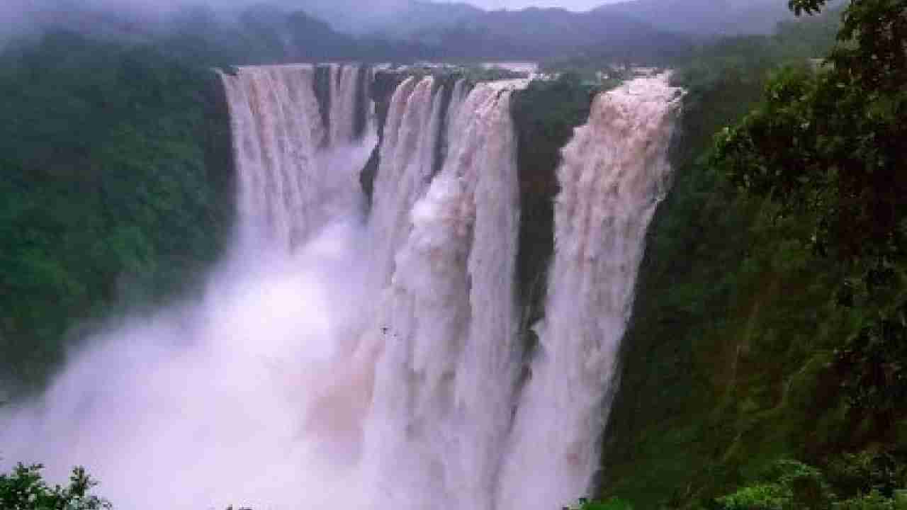 Jog Falls: ಇದು ನಯಾಗರ ಫಾಲ್ಸ್​ ಅಂದ್ಕೊಂಡ್ರಾ?; ಜೋಗ ಜಲಪಾತದ ರುದ್ರ ರಮಣೀಯ ವಿಡಿಯೋ ವೈರಲ್