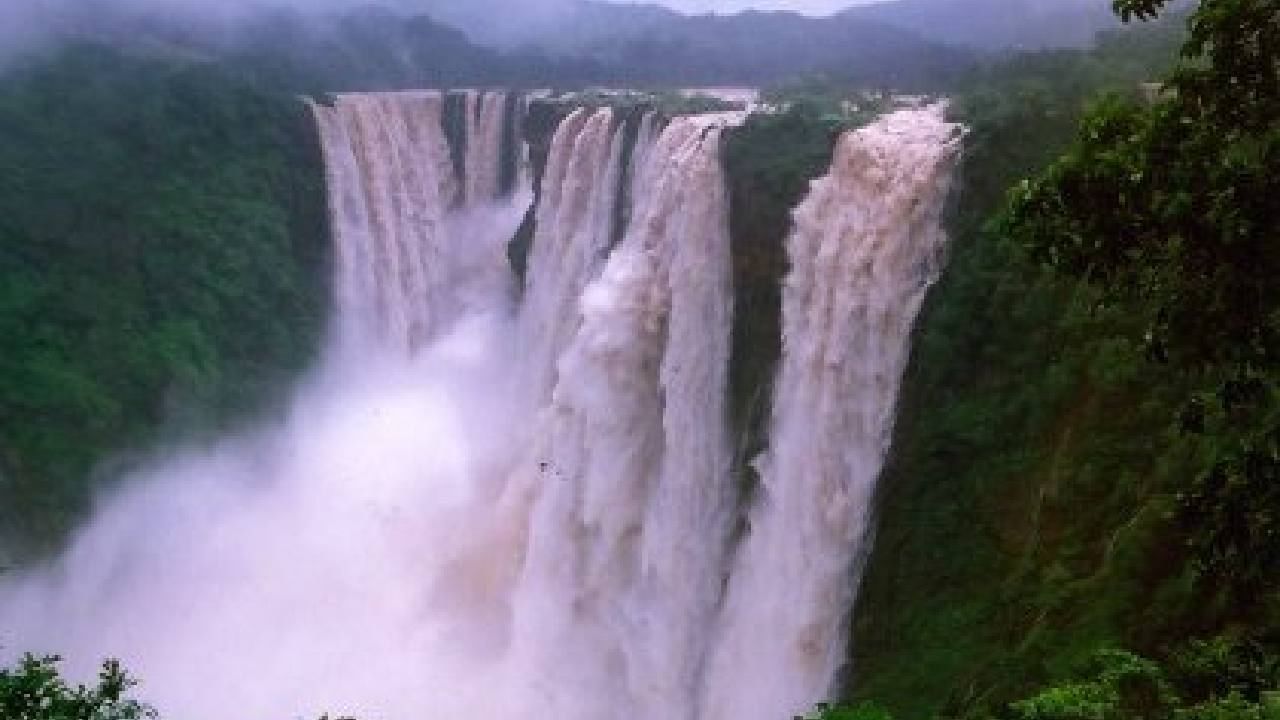 Jog Falls: ಇದು ನಯಾಗರ ಫಾಲ್ಸ್ ಅಂದ್ಕೊಂಡ್ರಾ?; ಜೋಗ ಜಲಪಾತದ ರುದ್ರ ರಮಣೀಯ ವಿಡಿಯೋ ವೈರಲ್ Jog Falls: ಇದು ನಯಾಗರ ಫಾಲ್ಸ್ ಅಂದ್ಕೊಂಡ್ರಾ?; ಜೋಗ ಜಲಪಾತದ ರುದ್ರ ರಮಣೀಯ ವಿಡಿಯೋ ವೈರಲ್