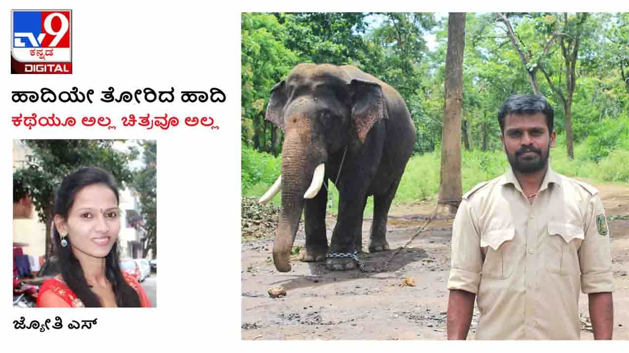 Column: ಹಾದಿಯೇ ತೋರಿದ ಹಾದಿ; ನಾಗರಹೊಳೆಯಲ್ಲಿ ಮಾವುತ ವಿನು ಹೇಳಿದ ದಸರಾ ‘ಅರ್ಜುನ’ಗಾಥೆ Column: ಹಾದಿಯೇ ತೋರಿದ ಹಾದಿ; ನಾಗರಹೊಳೆಯಲ್ಲಿ ಮಾವುತ ವಿನು ಹೇಳಿದ ದಸರಾ ‘ಅರ್ಜುನ’ಗಾಥೆ