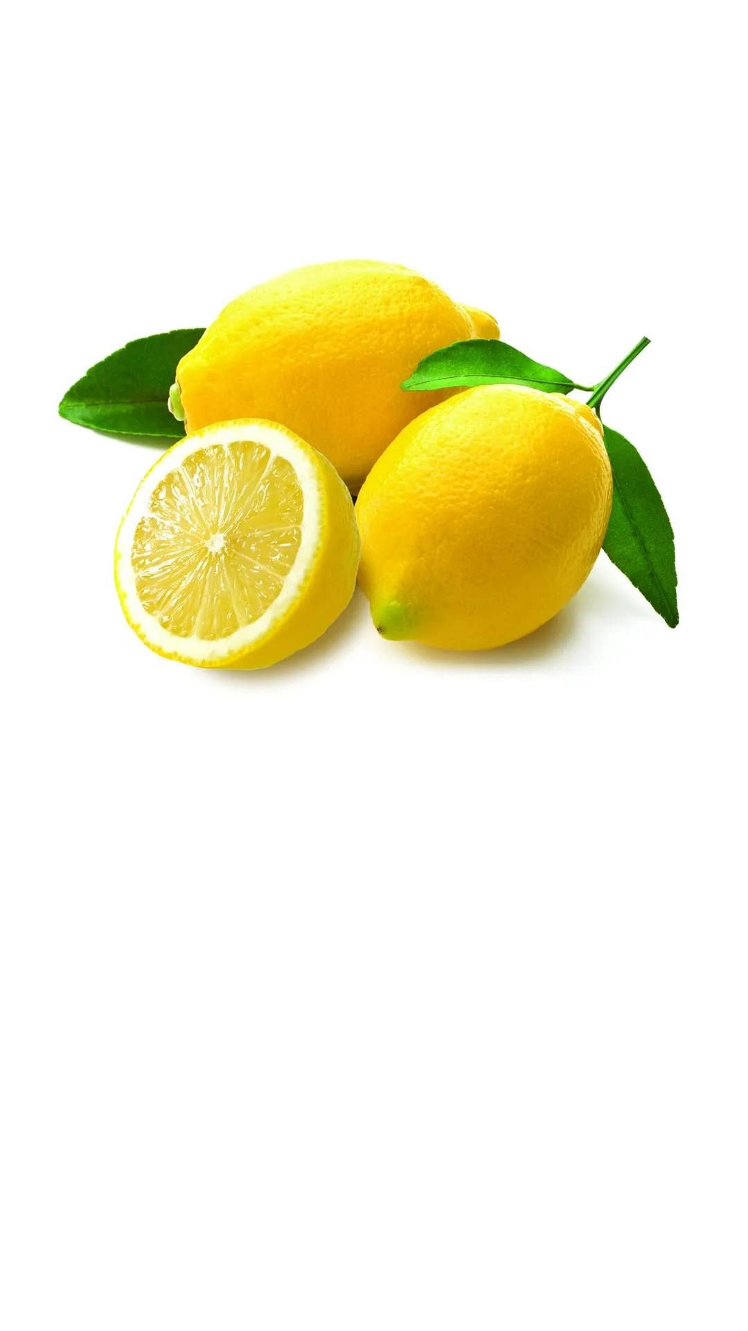 l3