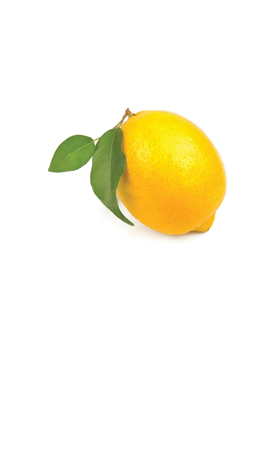 l4