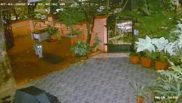 Shocking Video: ರಾತ್ರಿ ವೇಳೆ ಮುಂಬೈನ ಮನೆ ಅಂಗಳಕ್ಕೆ ಬಂದ ಚಿರತೆ; ಶಾಕಿಂಗ್ ವಿಡಿಯೋ ಇಲ್ಲಿದೆ