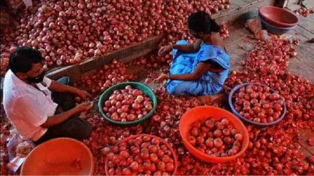 Onion Price: ಗ್ರಾಹಕರಿಗೆ ಗುಡ್ ನ್ಯೂಸ್; ಇನ್ನು ಗಗನಕ್ಕೇರಲ್ಲ ಈರುಳ್ಳಿ ಬೆಲೆ, ಸರ್ಕಾರದ ಹೊಸ ಪ್ಲಾನ್