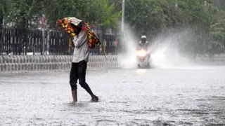 Karnataka Dams Water Level: ಕೆಆರ್​ಎಸ್ ಶೇ.91ರಷ್ಟು ಭರ್ತಿ, ರಾಜ್ಯದ ಉಳಿದ ಅಣೆಕಟ್ಟುಗಳ ಸದ್ಯದ ಸ್ಥಿತಿಗತಿ ಹೀಗಿದೆ